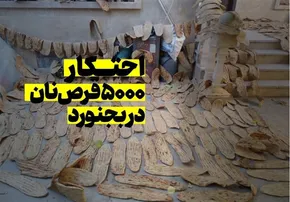 تصاویر / نان بلوط
