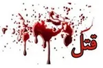 پسر ۲۸ ساله مادرش را به قتل رساند