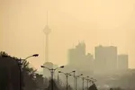 خاک خوردن اتوبوس‌های صفر کیلومتر در پارکینگ شهرداری تهران