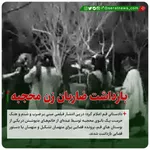 آیت‌ الله قائنی، استاد حوزه: از دیدن ویدیوی درمانگاه قم متاثر شدم