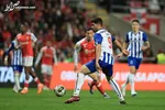 بازگشت 