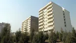 جوان‌ترین رئیس بیمارستان کشور+عکس