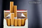 آمار جالب درباره تعداد سیگاری‌ها در جهان