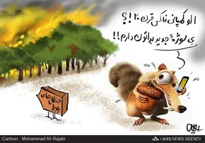 تصاویر / نان بلوط