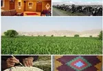 آیفکس به سطح یک هزار و ۸۵۸ واحدی رسید