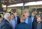 فروش آب انگور در میدان مرکزی میوه‌ و تره‌بار تهران ممنوع شد