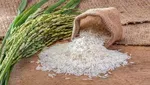 خبری از تکاپوی نوروزی در خرید‌های مردم نیست