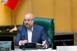نامه نمکی به قالی باف؛ برگزاری جلسات بیش از ۱۵ نفره ممنوع است