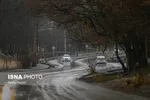 موکب‌های اربعین استان‌ها در کنار مردم سی‌سخت