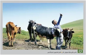 تصاویر/ آبرسانی به روستا‌های محروم و کم آب اهر