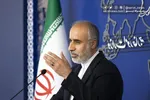 فیلم/ سخنگوی وزارت خارجه: پاسخ ایران به اقدام صهیونیست‌ها حرفه‌ای بود