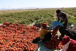 وام مسکن برای زوج‌ها چقدر آب می‌خورد؟