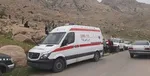 یک دعوای ساده و قتل برادر