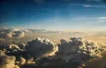 قطع درختان تهران به بهانه بلند مرتبه سازی