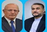 جزئیات گفت‌وگوی تلفنی امیرعبداللهیان با حامد کرزی