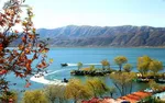 عکس / لک لک‌‌های دره‌تفی
