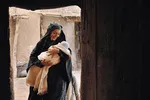 دیوارنگاره میدان ولیعصر بوی گل محمدی گرفت