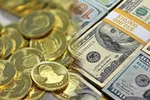 قیمت جدید دام‌زنده ۲۴ تیرماه ۱۴۰۴ + جدول