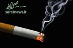 11تن مواد مخدر کشف شد