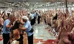 ۳۹ زائر ایرانی دربیمارستان‌های مکه بستری هستند