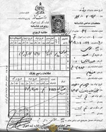 تصویر جالب از 90 زمين فوتبال در يك منطقه
