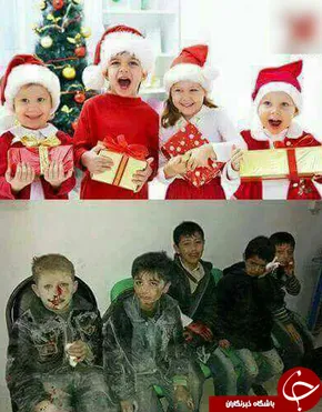 عکس/بزرگترین درخت کریسمس