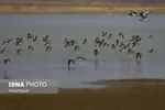 ۲کشته و ۱۸ مجروح در تصادف یک اتوبوس+عکس