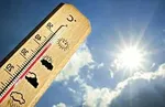 ‍‍‍ 
فواید و عوارض جانبی آلوئه ورا برای کاهش وزن