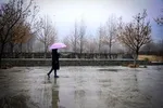 هوای تهران سالم است