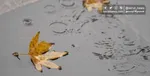 موج جدید بارش‌ها در راه است / ورود سامانه بارشی از فردا