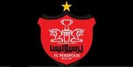 چراغ سبز AFC‌ برای بازگشت استقلال و پرسپولیس به آسیا