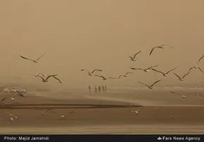 عکس/ گردوخاک در راه خوزستان