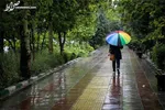 ۴ عامل مهم انتقال آنفلوانزا را بشناسید