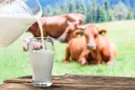قیمت مصوب مرغ، شیر و تخم مرغ چه زمانی اعلام می‌شود؟