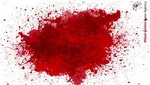 ۱۰ باید و نباید کاربردی در فضای مجازی