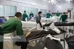 ۴۲۴ نفر دیگر بر اثر کرونا جان باختند
