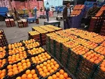 پرونده سنگین تعزیرات برای لبنیاتی‌ها