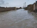 زاد و ولد در این استان ۳برابر میانگین کشور است