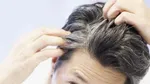۶ روغن گیاهی موثر در رشد و سلامتِ پوست و مو