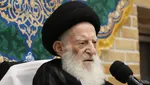 آیت‌الله شبیری زنجانی: ورود به عالم سیاست کار هرکسی نیست
