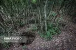 آب رفتن ۱۳۰ سانتی متری دریای خزر/ فک خزری در آستانه انقراض