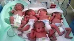 کدام استان‌ها بیشترین چند قلو زایی را دارند؟