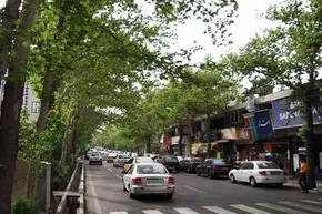 تصاویر / مزرعه عروسک‌های شگفت انگیز در اردکان