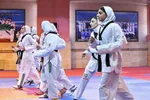 ساعی: جایی برای بازگشت مداح وجود ندارد
