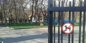 فیلم/ بازی والیبال کودکان قائناتی در اینستاگرام فدراسیون جهانی