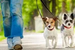 با فواید پیاده‌روی سریع آشنا شوید