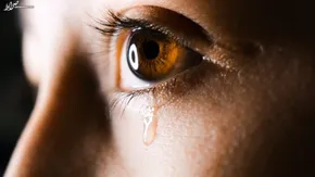 عکس/ اشک حاتمی کیا