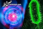 شناسایی ۶۸ مبتلا به وبا تاکنون / اغلب مبتلایان چند ساله هستند؟