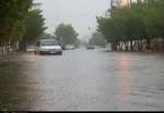 جاده چالوس برفی می‌شود