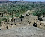 گریه مؤسس خاندان سعودی در برابر انگلیس +تصاویر